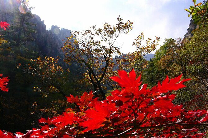 2-days: Mt Seorak, East Sea(Naksansa) & Nami or Ulsanbawi Hiking - Practical Details and What You Can Expect