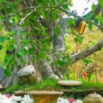 2- Days Private tour to Anuradhapura & Wilpattu National Park from Negombo - What’s Included & Not Included