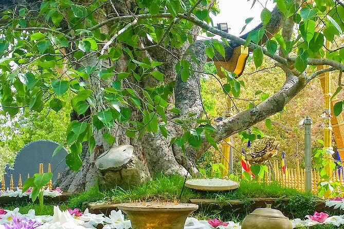 2- Days Private tour to Anuradhapura & Wilpattu National Park from Negombo - What’s Included & Not Included