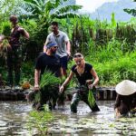 2 Days Shared Group Tour Buffalo Cave in Hoa Lu and Tam Coc - Frequently Asked Questions