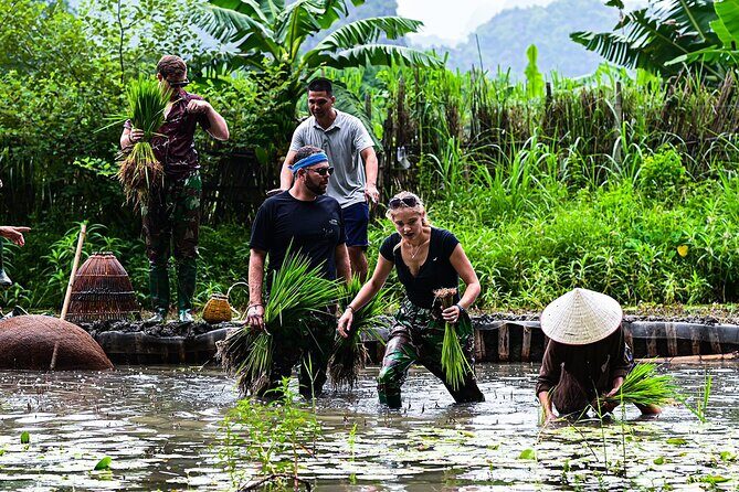 2 Days Shared Group Tour Buffalo Cave in Hoa Lu and Tam Coc - Frequently Asked Questions
