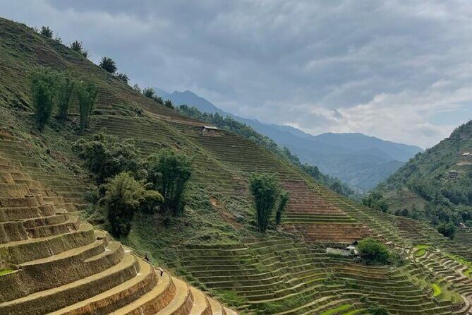 2 Days Ta Van Trekking and Homestay - The Itinerary Breakdown: What You’ll Experience