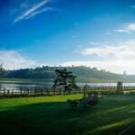 2 days trip Nuwara Eliya, Ambewela, Ella, Udwalawa and Yala - Practical Details and What to Expect