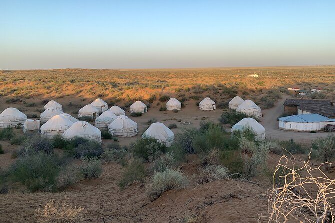 2 Days Yurt Camp from Bukhara to Samarkand Self-Guided Tour - The Experience in Detail