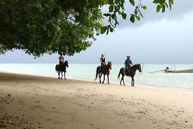 2 Hour Horse Riding Tour On The Beach Krabi - Who Should Consider This Tour?