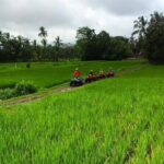 2 Hour Private ATV Ride In Bali Ubud - Final Thoughts