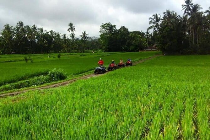 2 Hour Private ATV Ride In Bali Ubud - Final Thoughts