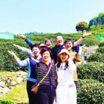 2-Hour Private Tea plantation tour in Hangzhou China - The Experience Details