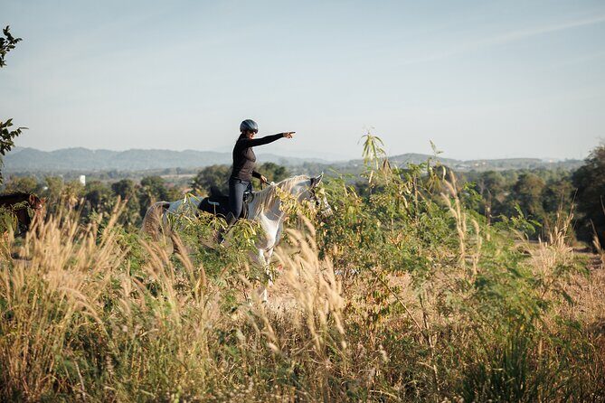 2 Hours Scenic Horse Trail Riding in Pattaya Thailand - The Sum Up