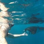 2 Spots Snorkeling Tour with Manta Rays point in Nusa Penida - Authentic Insights from Reviewers