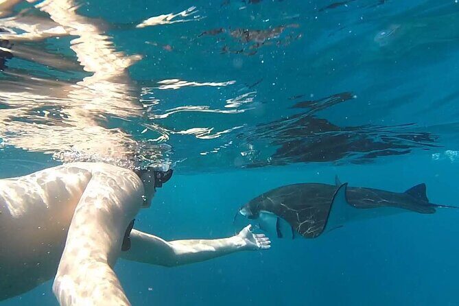 2 Spots Snorkeling Tour with Manta Rays point in Nusa Penida - Authentic Insights from Reviewers