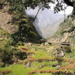 20 days Manaslu Rupina La Pass Homestay Trek - What Youll Love About This Trek