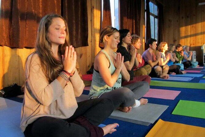 21-Day Yoga Teacher Training in Rishikesh with Accommodation - Authentic Insights from Reviewers