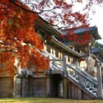 2D1N Private Tour 1000 year's Silla Dynasty & Capital City at Gyeongju Area - Authentic Insights from Past Travelers