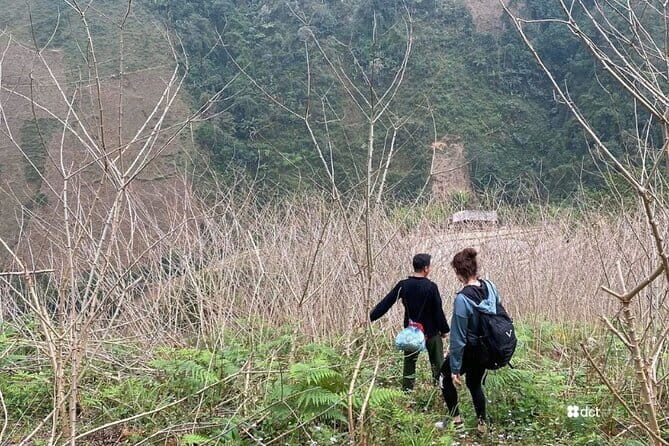 2D3N in Mu Cang Chai motorbike and trekking - Day 2: Motorbike Tour and Scenic Highlights