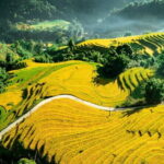 3 Day and 2 Night Sapa Trekking from Hanoi - A Deep Dive into the Sapa Experience