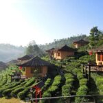 3-day Chiang Rai Elephant riding Golden Triangle - What’s Included and What’s Not?
