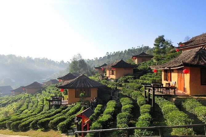 3-day Chiang Rai Elephant riding Golden Triangle - What’s Included and What’s Not?