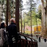 3-day Classic Taiwan History and Nature Private Tour - Final Thoughts: Who is This Tour Best For?