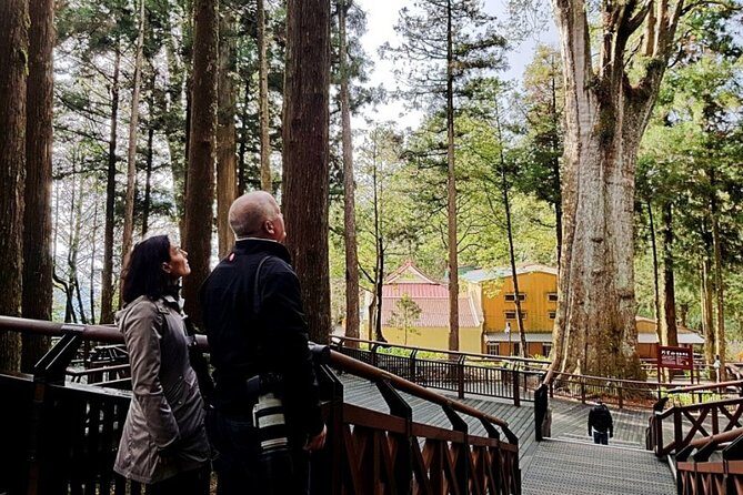 3-day Classic Taiwan History and Nature Private Tour - Final Thoughts: Who is This Tour Best For?