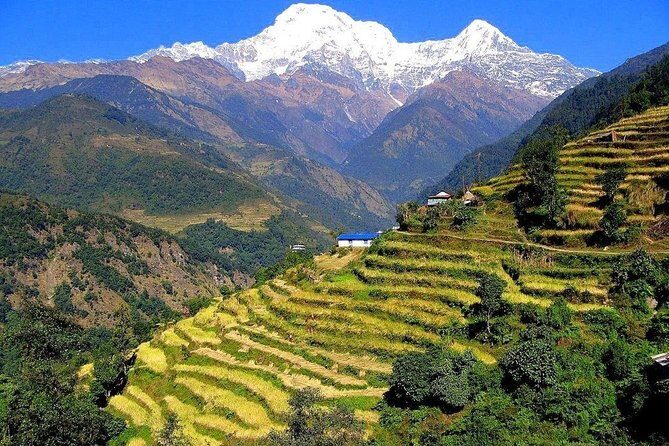 3-Day Ghandruk Loop Trek from Pokhara - Practicalities and Considerations