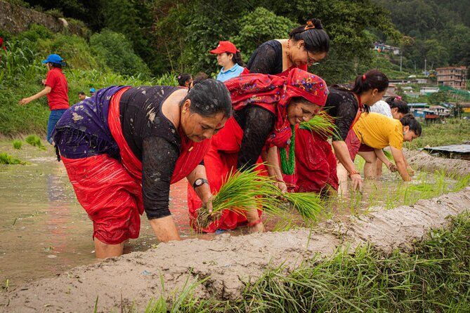 3-Day Guided Tour in Nagarkot with Ropain Festival Experience - Why This Tour Works