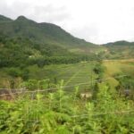 3 Day Lao Chai Ta Van Cat Cat Sin Chai Ma Tra Ta Fin from Hanoi by limousine bus - Who Is This Tour Best For?