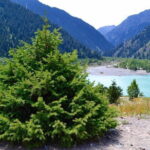 3-Day Nomadic Adventure: Turgen Falls, Assy Plateau & Glamping - Practical Details and Value