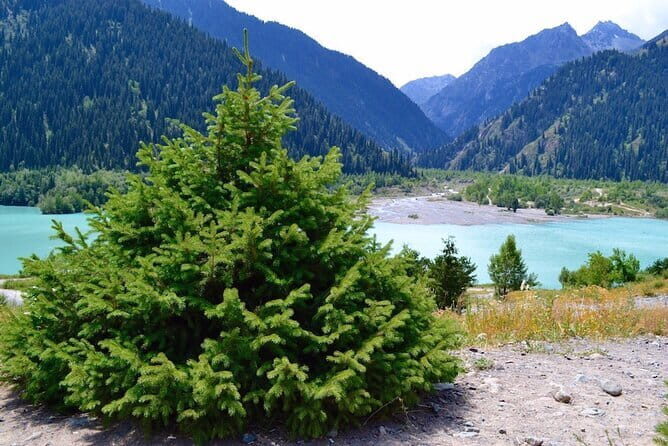 3-Day Nomadic Adventure: Turgen Falls, Assy Plateau & Glamping - Practical Details and Value
