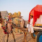 3-Day Private Tour of Jaisalmer with Desert Camp Experience - Who Will Love This Tour?