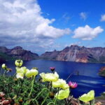 3-Day Private Tour to Changbai Mountain and Changbaishan Tianchi From Harbin - Exploring the Changbai Mountain 3-Day Tour: What to Expect