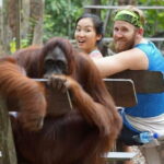 3 Days 2 Nights Wildlife Tanjung Puting - What’s Included and What’s Not
