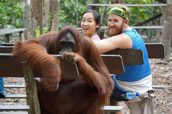 3 Days 2 Nights Wildlife Tanjung Puting - What’s Included and What’s Not