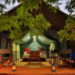 3 Days Adventure and Wildlife Tour - Practical Details and What to Expect