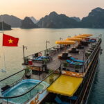 3 Days and 2 Nights in Lan Ha Bay with Icon Cruise from Hanoi - What Makes This Tour Stand Out?