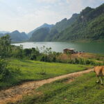 3 Days Conquering Dien Bien Phu Jeep Adventure - Transportation, Timing, and Group Dynamics