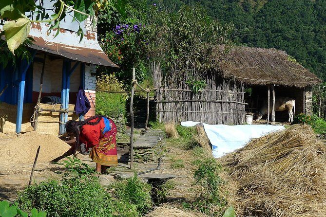 3 days Dhampus Sarangkot Hike - The Sum Up