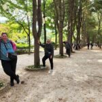 3 Days Essential Tour-Seoul, Nami/petite/Morning Calm and DMZ - Who Is This Tour Best For?