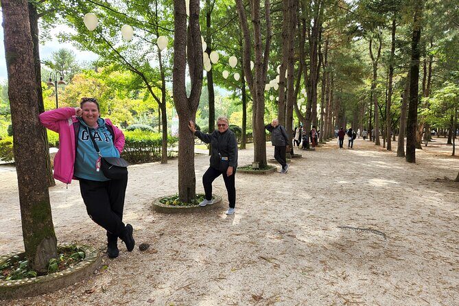 3 Days Essential Tour-Seoul, Nami/petite/Morning Calm and DMZ - Who Is This Tour Best For?