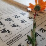 3 Days Ropain Festival at Kirtipur - Final Thoughts