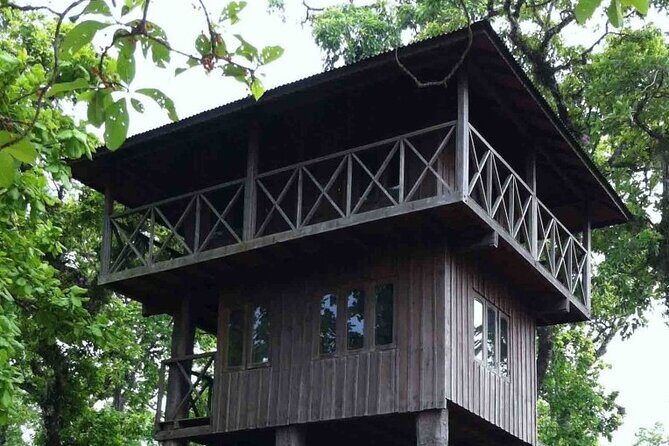 3-Days Tower Night Stay inside Jungle Tour - Day 1: Wildlife Safari and Tower Night Stay
