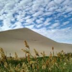 3-Night Private Tour from Dunhuang to Jiayuguan - Transportation, Accommodation, and Logistics