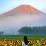 3 Perfect Days in Japan: Private Tokyo City, Mount Fuji & Kyoto - Practical Aspects and Value