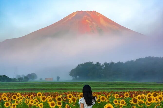 3 Perfect Days in Japan: Private Tokyo City, Mount Fuji & Kyoto - Practical Aspects and Value
