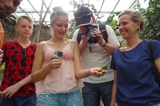3D 2N Kuala Lumpur-Taman Negara-Cameron Highlands-Penang Drop Off - Who Is This Tour Best For?