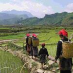 3D2N, Sapa Trekking Tour from Hanoi (Homestay & Hotel Overnight) - Final Thoughts: Is This Tour Worth It?