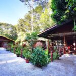 3D2N Sukau Wildlife Experience - Authentic Experiences and Honest Feedback