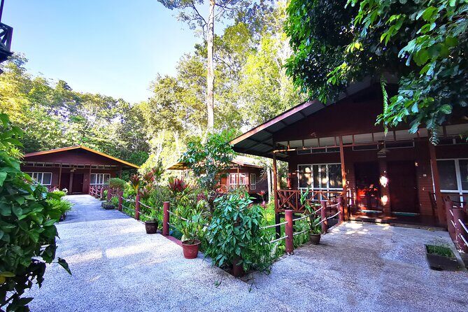3D2N Sukau Wildlife Experience - Authentic Experiences and Honest Feedback