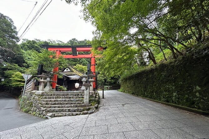 (3hours)Zero Emission Car Private Kyoto Tour with Japanese Guide - Who Will Love This Tour?