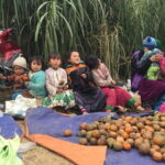 4-Day Adventure To Ba Be Lake And Ha Giang Loop - What Travelers Can Expect